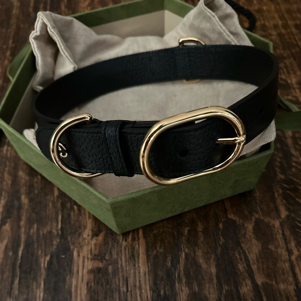 NEW Gucci dog collar, black with gold hardware